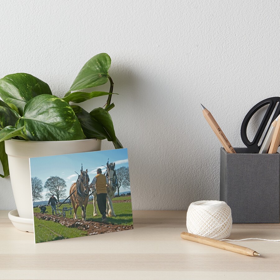 Ploughing match Art Board Print