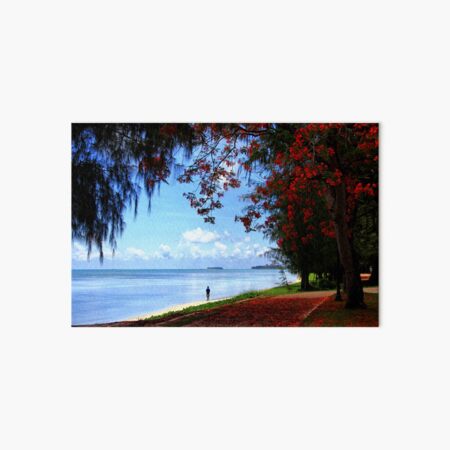 Item preview, Under The Flame Trees designed and sold by Globalphotos.