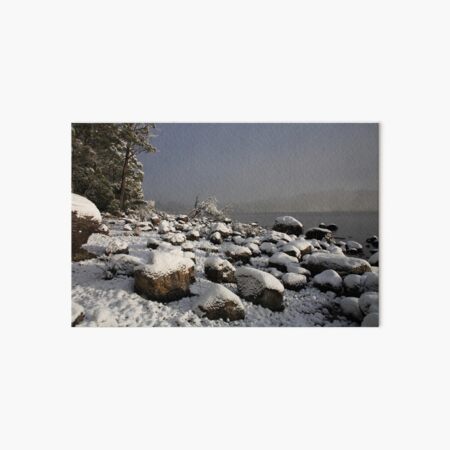 Lake St CLair 2, Tasmania Art Board Print