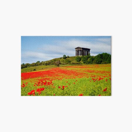Penshaw Poppies Art Board Print