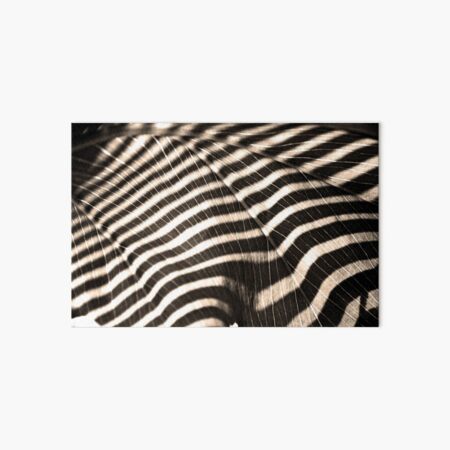 Shadow Play Art Board Print