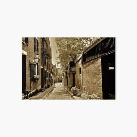 Acorn Street Art Board Print