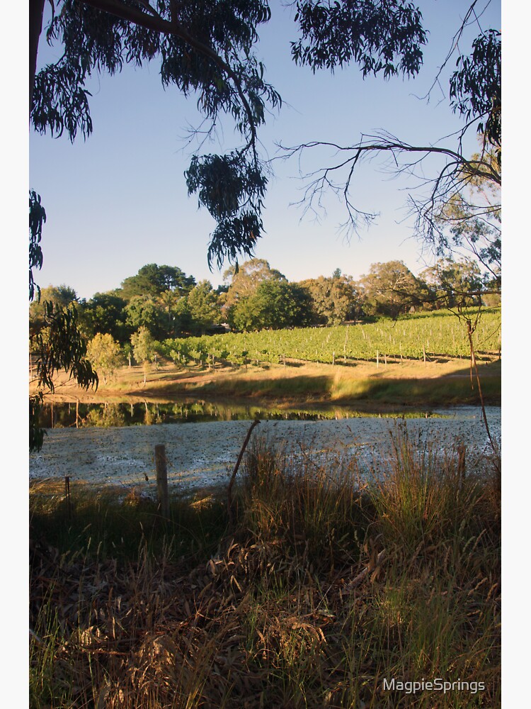 Thumbnail 3 of 3, Sticker, The Pinot Patch - Adelaide Hills - Fleurieu Peninsula - by South Australian artist Avril Thomas designed and sold by MagpieSprings.