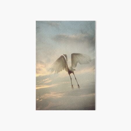 Euphoria Art Board Print