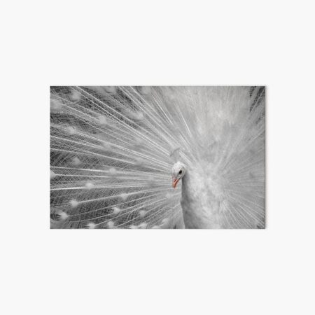 White Princess Art Board Print