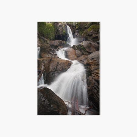 Upper Toorongo Falls Art Board Print