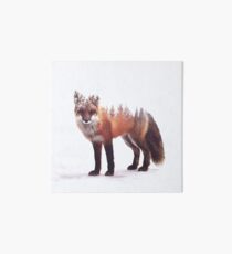 fox Art Board Print