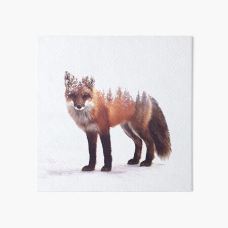 fox Art Board Print