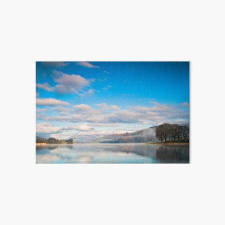 Esthwaite Water Art Board Print