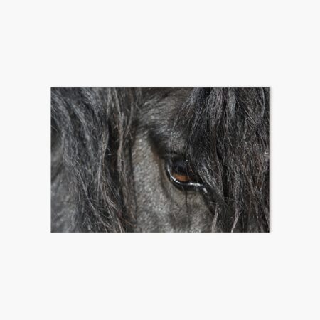 Stallion Art Board Print
