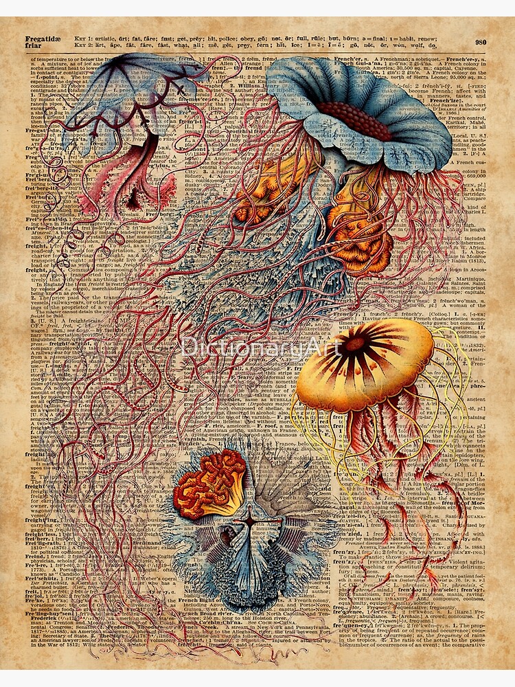 Jellyfish Art Print on Vintage Book Page Discomedusae #5 Ocean Sea Decor Gifts 