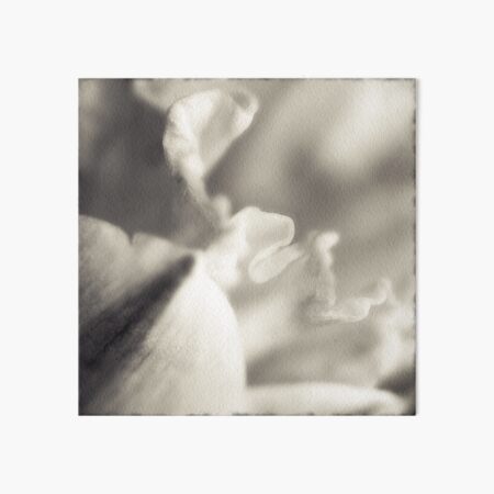 The Bliss of Solitude Art Board Print