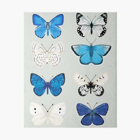 Aperçu de l'œuvre Lepitoptery No. 2 - Papillons et mites bleu et blanc créée et vendue par Andrea Leiner.