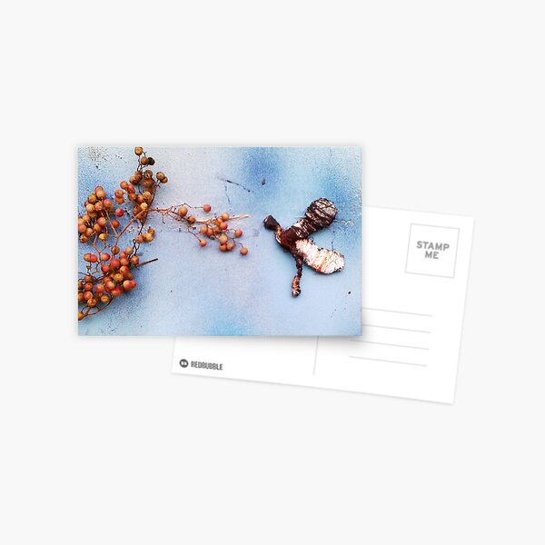Flying Prototype Postcard