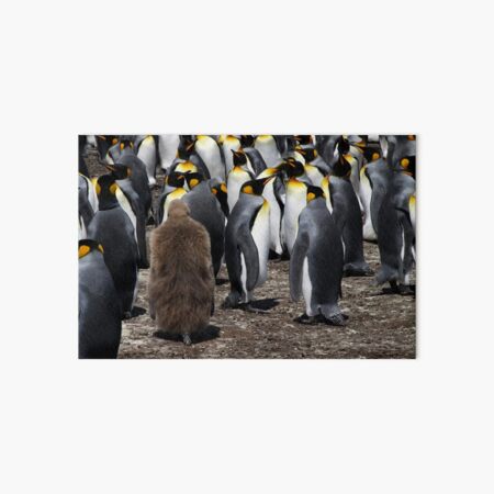 Stranger in a Strange Land Art Board Print