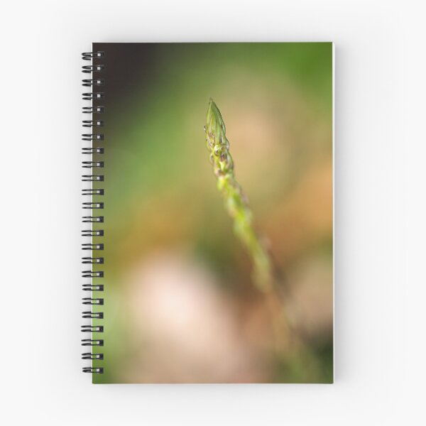 Item preview, Asparagus Fern  designed and sold by Joy Watson - Natural Light Photography .