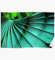 Tropical Wings Poster