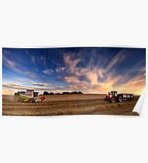 Harvesting barley, Norfolk, UK Poster