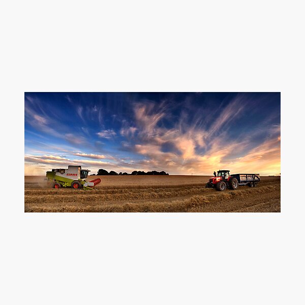 Harvesting barley, Norfolk, UK Photographic Print