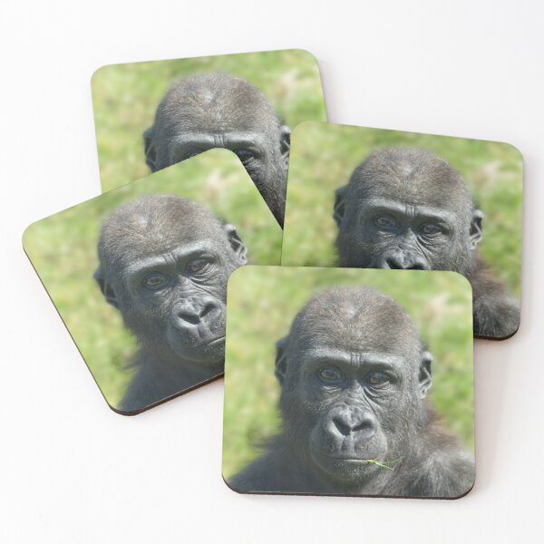 Item preview, Gorilla Baby Shufai With A Piece Of Grass designed and sold by rawshutterbug.