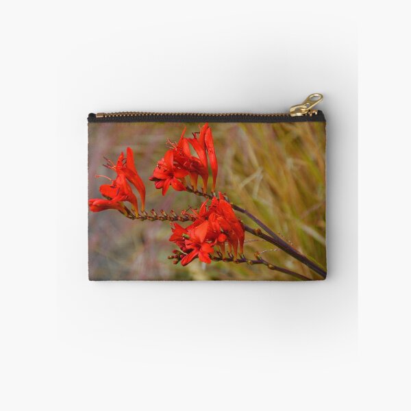 Item preview, CROCOSMIA in the garden. Lyme Dorset UK designed and sold by lynn carter.