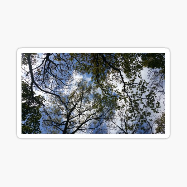 Item preview, Sky designed and sold by Natalie Glaser.