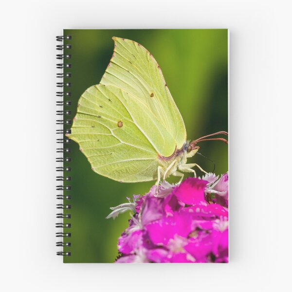 Item preview, Butterfly taking a snack designed and sold by Mark Bangert.