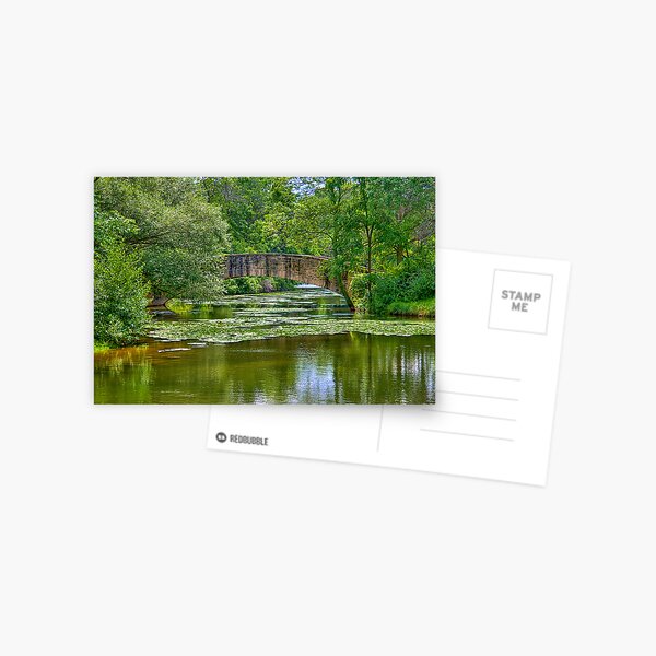 Item preview, Tenny Park Bridge designed and sold by ECH52.
