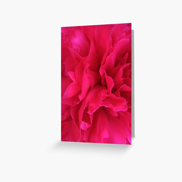 Passion Ignited Greeting Card
