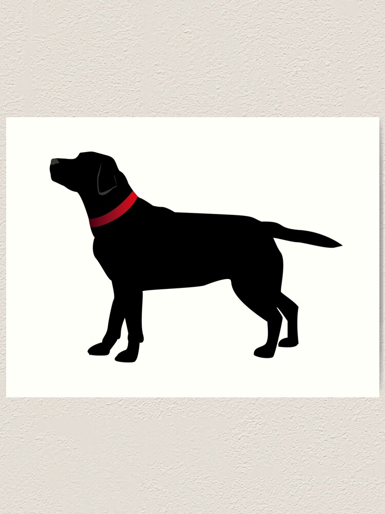 Black dog with outlet red collar