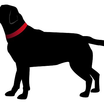 Artwork thumbnail, Black Labrador with Red Collar by polkadotjelly