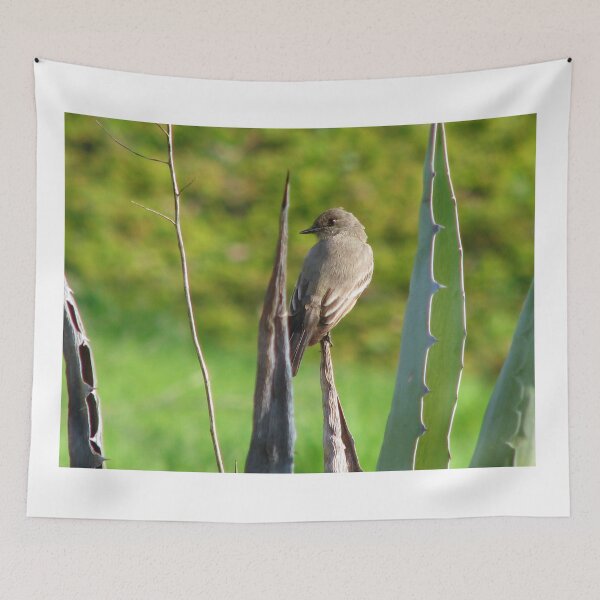 Item preview, Prickly perch designed and sold by MChabalaRussell.