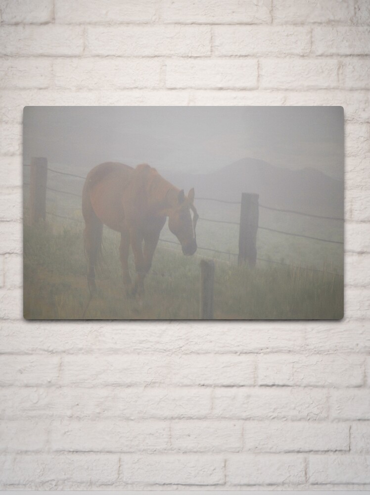 Thumbnail 2 of 4, Metal Print, Horse in the Fog designed and sold by Jerry Walter.