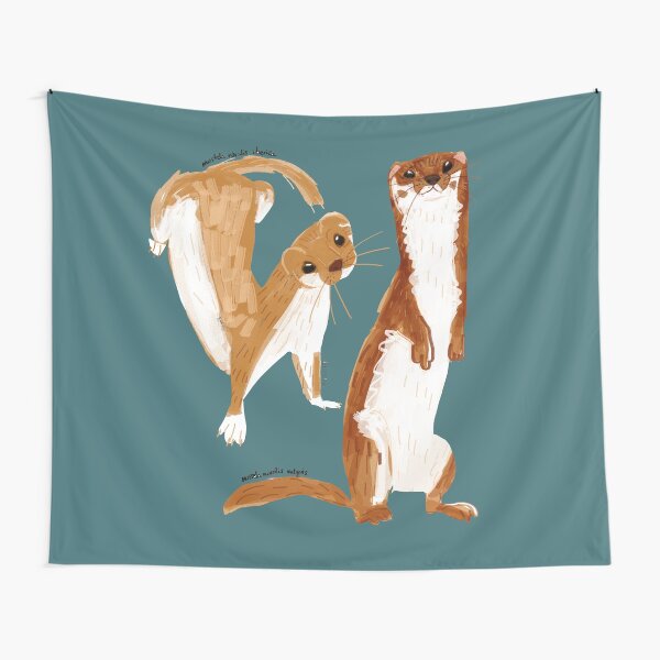 Funny Weasel ( Mustela nivalis ) Tela decorativa