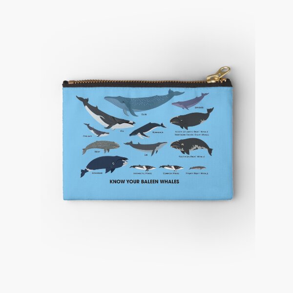 Item preview, Know Your Baleen Whales designed and sold by Peppermint Narwhal.