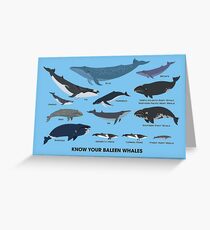 Know Your Baleen Whales Greeting Card