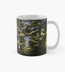 Der immergrüne Staat Tasse (Standard)