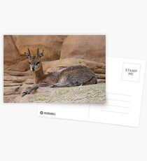 Prongs Postcards