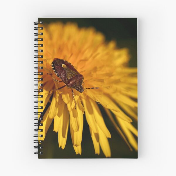 Item preview, Sloe Shieldbug designed and sold by Helen  Kelly.