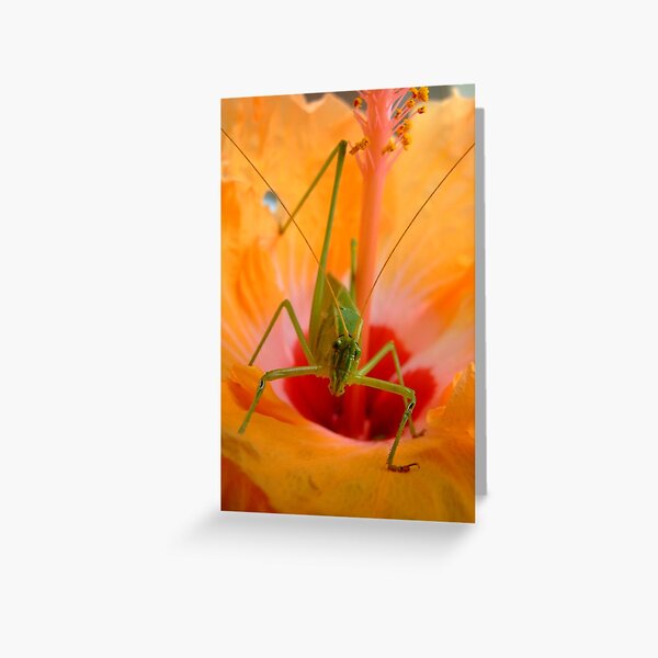 You Talkin' to Me? Greeting Card