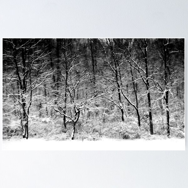 Item preview, Winter Snow Trees designed and sold by KellyHeaton.