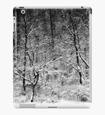 Winter Snow Trees iPad Case/Skin
