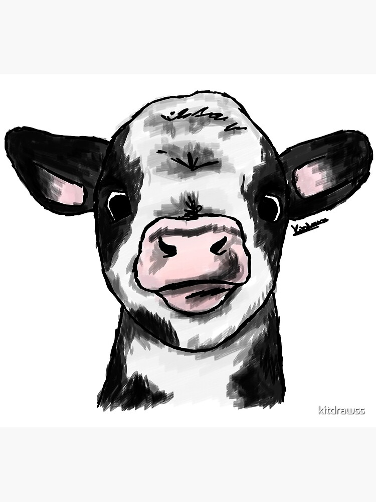 Cow illustration, Angus cattle Calf , Sketch Cow transparent background PNG  clipart | HiClipart