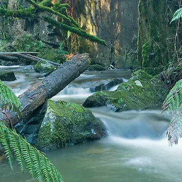 Artwork thumbnail, The Rivers Path by Priceless