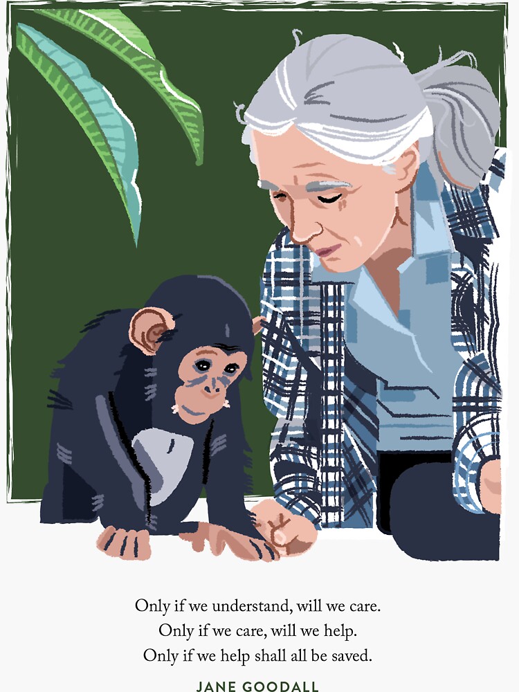 jane goodall chimpanzee research