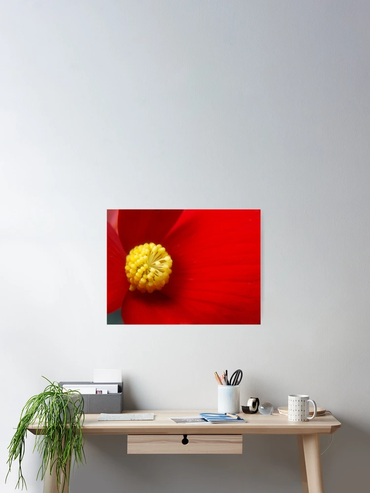 Thumbnail 2 of 3, Poster, Sun and Fire (Landscape) designed and sold by RJBPhotoDesign.