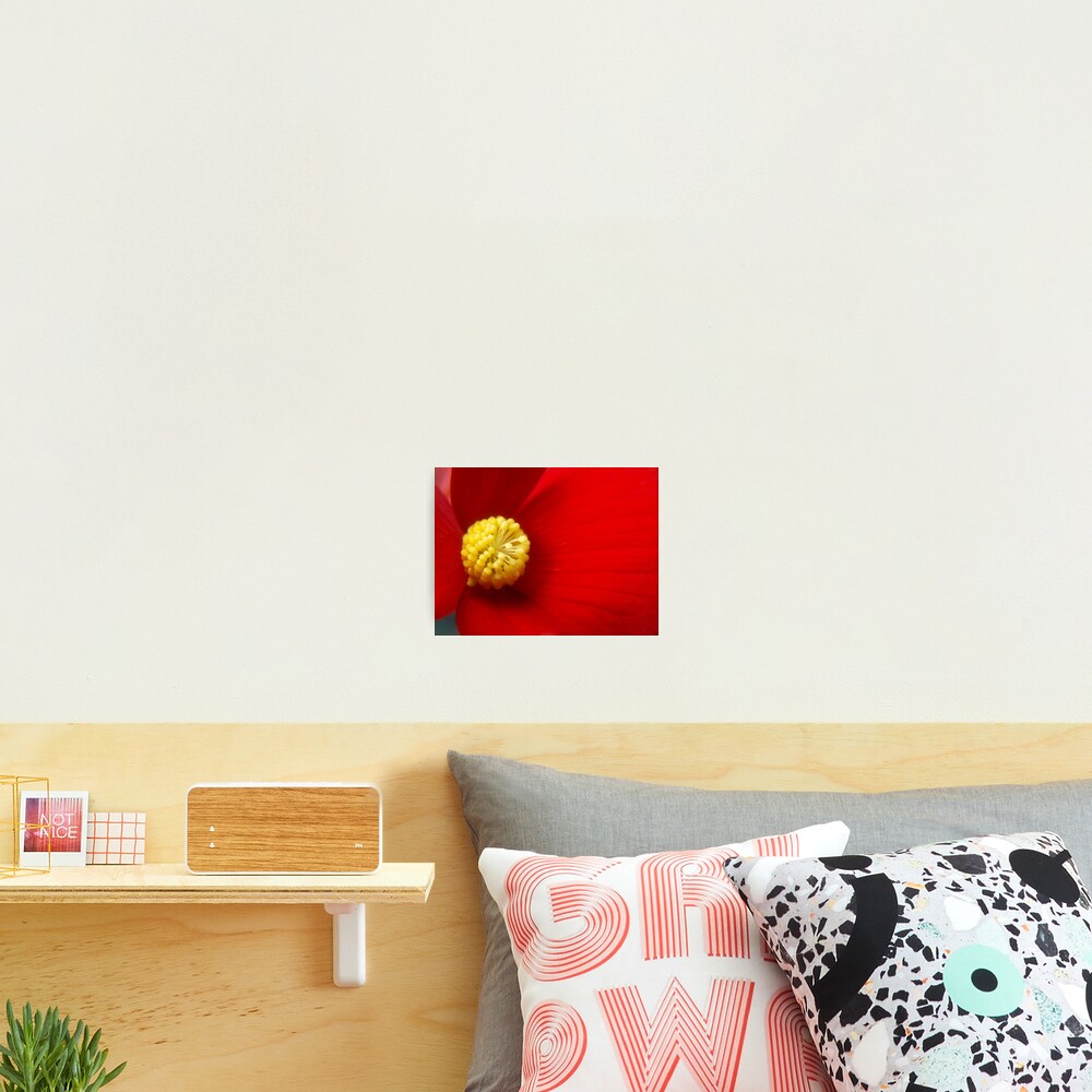 Item preview, Photographic Print designed and sold by RJBPhotoDesign.