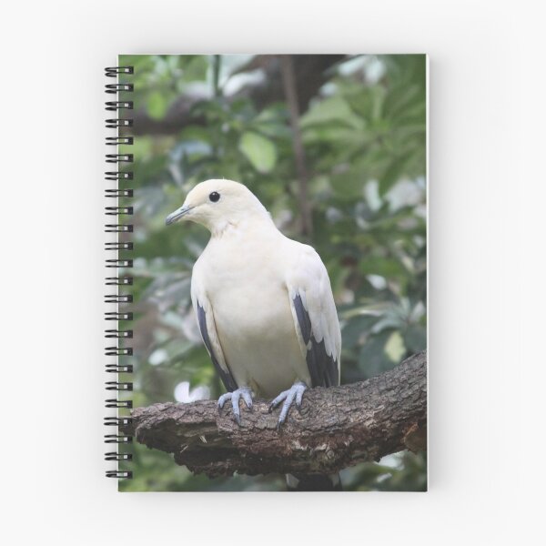 Item preview, Pretty Dove designed and sold by Photos67.