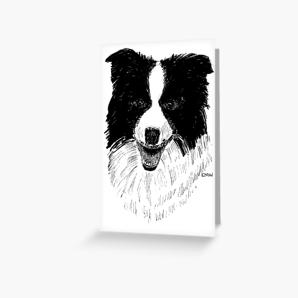 Border Collie Greeting Card (Blank) Greeting Card