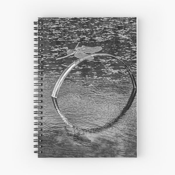 Item preview, Dragonfly Sculpture Monochrome designed and sold by Steve Purnell Photography.